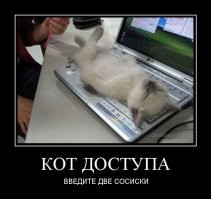 Прикольные и смешные картинки