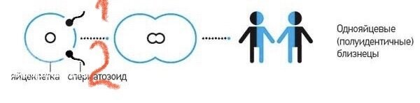 Я изхожу из это картинки