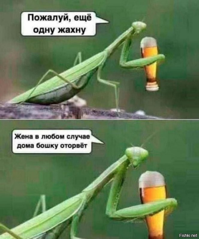 Солянка от 30.09.2020