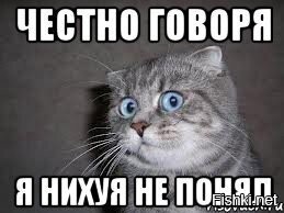 Маслины и оливки: в чем разница — мифы и реальность