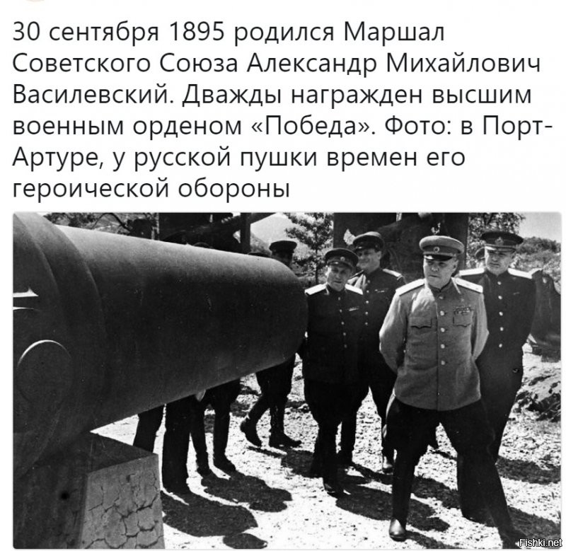 Политические комментарии из инета