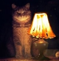 Жаль, что в современной России совершенно нет гостиниц, где начальник может переночевать.
А может, история туфта бабская, полнейшая?