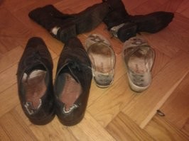 Всё именно так. Мой даже диван ухитрился разодрать в клочья и перетащить в сторону метра на три. Последнее фото - псу три месяца.