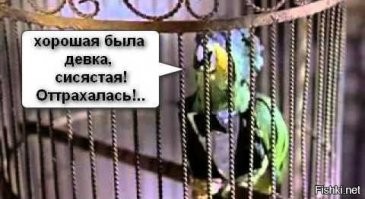 Instagram-модель пыталась сделать селфи на краю обрыва и сорвалась вниз