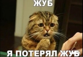 Мальта возмутилась тем, что принцу Джорджу подарили зуб мегалодона