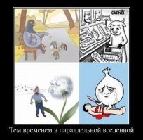 ))))) BMW откуда-то из параллельной вселенной)