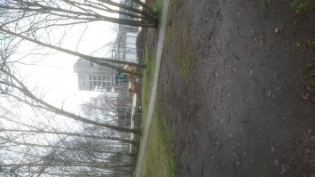 Супермаркет стройматериалов ещё в стадии строительства .Основной корпус стоит ,только в нём раньше был супермаркет Prizma  сейчас Imantas tirgus (Имантский базар).Чебурашку снесли .