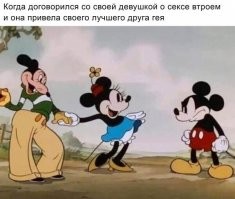 Драчливый кот прервал любовные утехи соплеменников