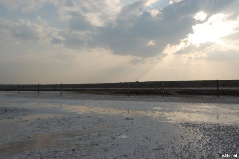 2013 год, август.