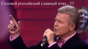 Интересные факты о любимце русского народа - соловье