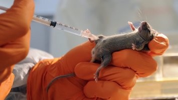 Как-то так получается...