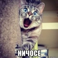 Мне на эту тематику больше всего понравился рецепт от зубной боли в книге Аксенова (вроде не ошибся) "Я не доктор - я знахарь", читал у тестя. Там написано так: "Народный рецепт. Если у Вас заболели зубы поймайте (та-та) - двух кротов". (У Вас болят зубы, а Вы бегаете с лопатой или другим инструментарием и ловите двух - живых кротов). "После этого, наденьте на руки теплые меховые рукавицы, возьмите в руки кротов и держите их так, покуда они не умрут от перегрева в меховых рукавицах". (Хрена себе изверги, так уничтожать ни в чём не повинных кротов. И к тому же у Вас продолжают болеть зубы, а Вы ждёте в меховых рукавицах покуда бедные кроты помрут в муках. Жесть.) "После нужно протопить печь, взять небольшой чугунок, поместить туда кротов, прикрыть крышкой и оставить в прогретой печи на ночь". (А зубы ведь продолжают болеть). "Утром нужно взять кожаные, новые, ни разу не надёванные перчатки. Достаньте из печи чугунок, возьмите вытопленный из кротов жир, намажьте перчатки изнутри, наденьте на руки и вам должно полегчать". Во блин живодёры, а самая главная фраза - "И вам должно полегчать" - а если нет. Хрен знает сколько времени нужно было этой хренью заниматься, мучить себя, кротов, портить перчатки - а не полегчало. 
P.S. А уж про рецепт придания белизны зубам путём их ежедневного натирания палочками, спрессованными з толчёного хрусталя с мелом и говорить не хочется.
Народная медицина конечно - неплохо, но когда она с умом...