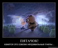 Тайны диких пчел: уникальные фотографии
