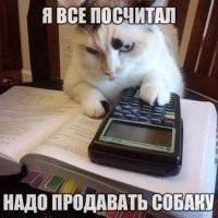 Умора: 30 неудачных фото собак, которые не должны были попасть в сеть