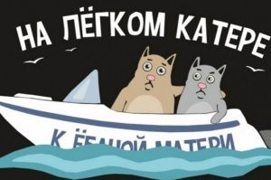 Мужчина выбрал неудачное место для предложения руки и сердца