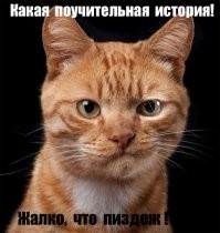 Если оставлять мужа без присмотра, то его обязательно кто-то подберёт