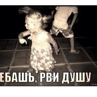 Прикольные и смешные картинки