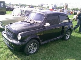 ЗАЗ 965 Багира