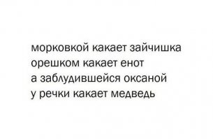 Медведь и туристка. Кто виноват?