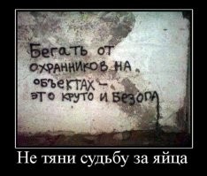 Немного любопытного об охранниках