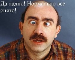 Туристы сняли, как обезьяны ныряют бомбочкой в реку