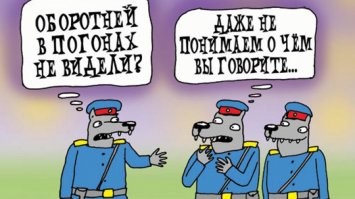 Вместо службы морпехи строили дом родственникам своего командира