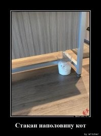 Прикольные и смешные картинки