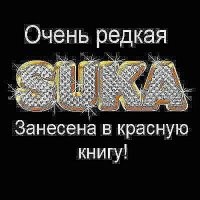 Прикольные и смешные картинки