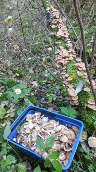 Прикольные и смешные картинки