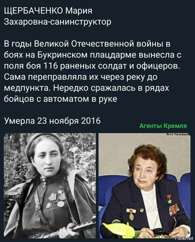 Политические комментарии из инета