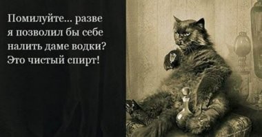 Скрины из социальных сетей