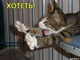 30-летний Ford Bronco без пробега продается в США