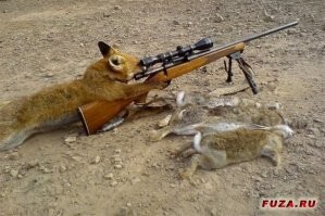 Просто прикольные и смешные картинки