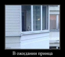 Просто прикольные и смешные картинки