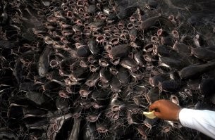 Ну он же написал - 2000. Вот так выглядят 2000 сомов)