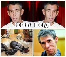 Собаки - лучшие друзья девушек!