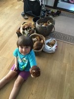 Я завтра за ними поеду :) Рыбалка облом потому что дожди .