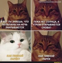 моему коту похрен на собакена и я вспомнил мем)))