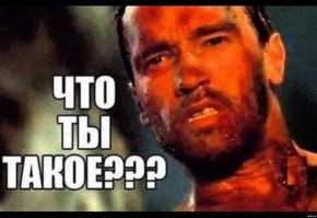 Просто прикольные и смешные картинки