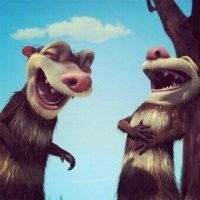 Прикольные и смешные картинки