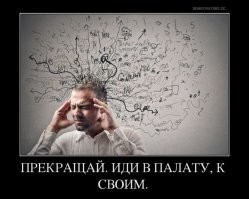 Мужчина в&nbsp;лифчике ранил женщину,выбросил в&nbsp;окно кошку и&nbsp;велосипед, а затем самоубился: видео 