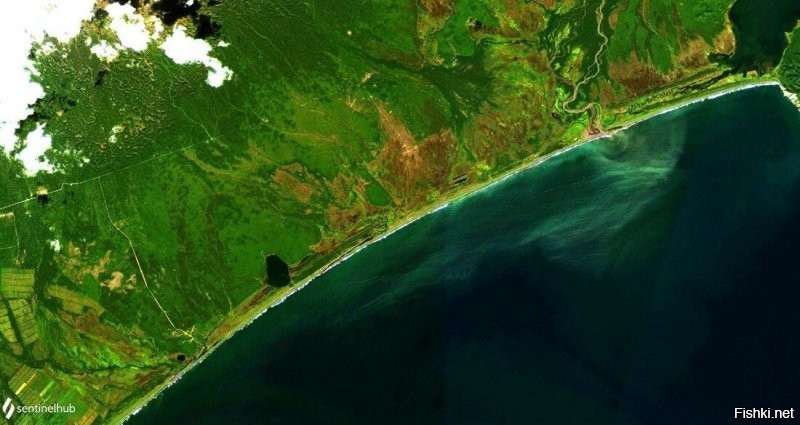 Со ссылкой на Greenpease в соцсетях распространяют космический снимок европейского спутника Sentinel 2, где виден выброс из реки Налычева, как раз в районе пострадавшего пляжа.
Официальной версии пока нет, но предполагают  что зацвели водоросли))