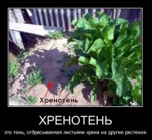 Фишки - гаджеты