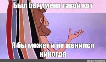 Мужчина увидел, как кот смывает его деньги в унитаз