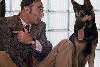 У госслужащей конфисковали гостиницу стоимостью 46 млн рублей