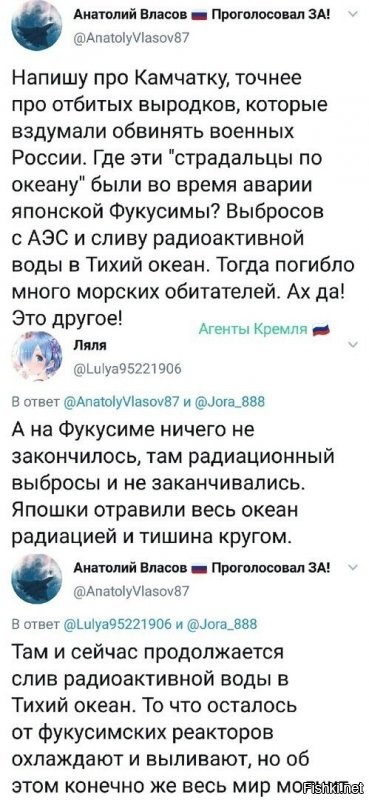 "У осьминогов просто упал сахар": жесткая реакция соцсетей на камчатскую трагедию