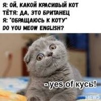 Чемпионат мира по "кусь"