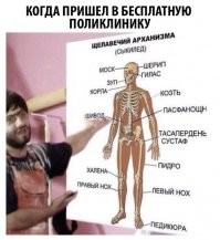 20 медицинских шпаргалок, которые подскажут, научат, а кого-то даже удивят