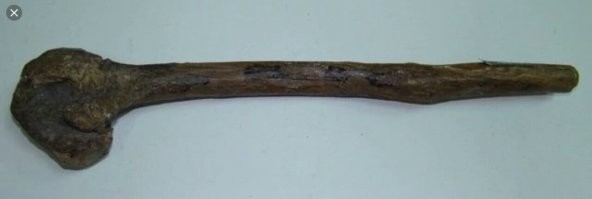 Ну уж обезболивающее было всегда. Вот это например довольно эффективно, но нужно потренироваться с применением... Возможен летальный исход в связи с передозом.