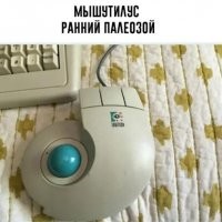 Намешалось